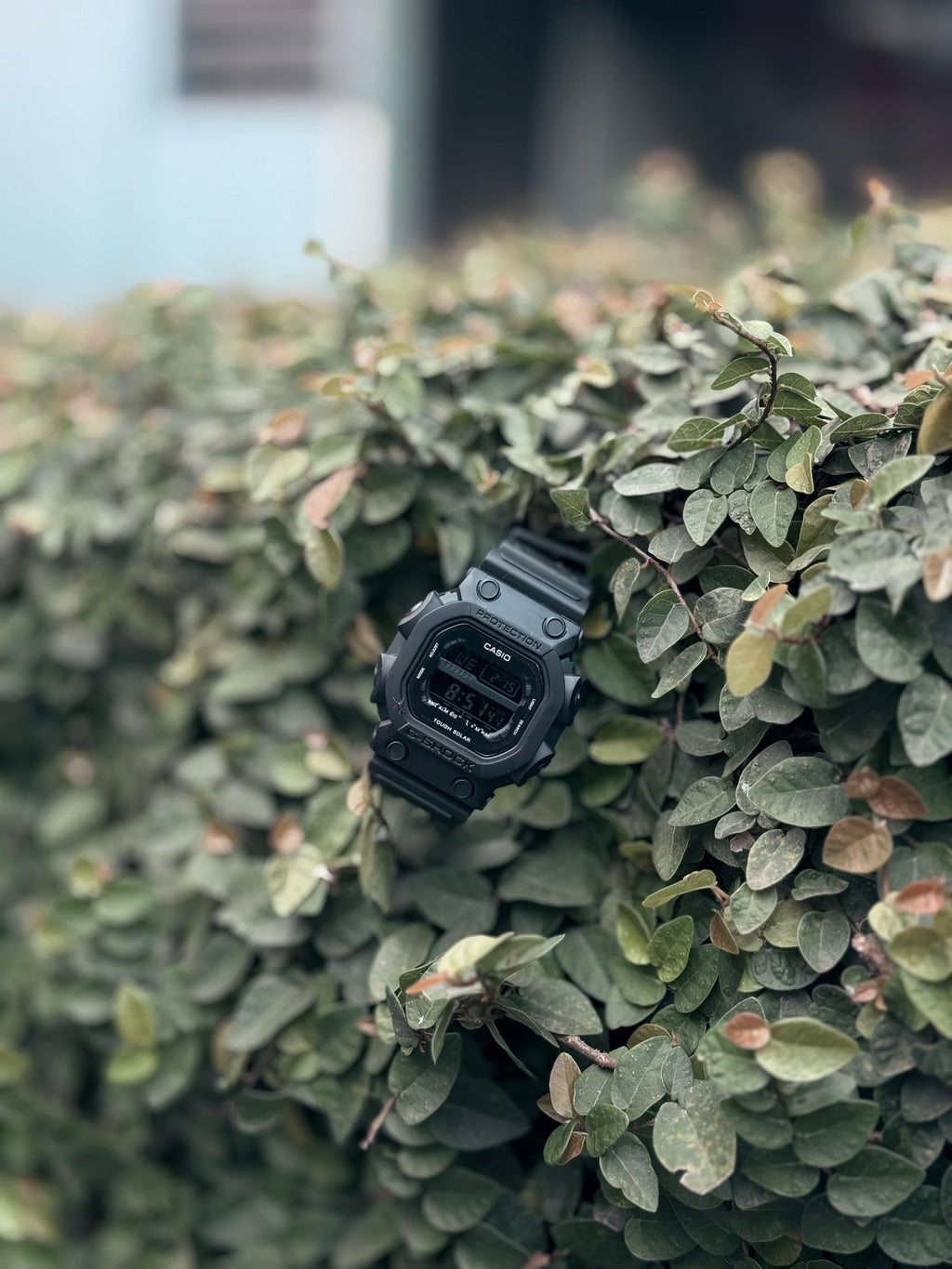 GSHOCK JEMBO EDICION