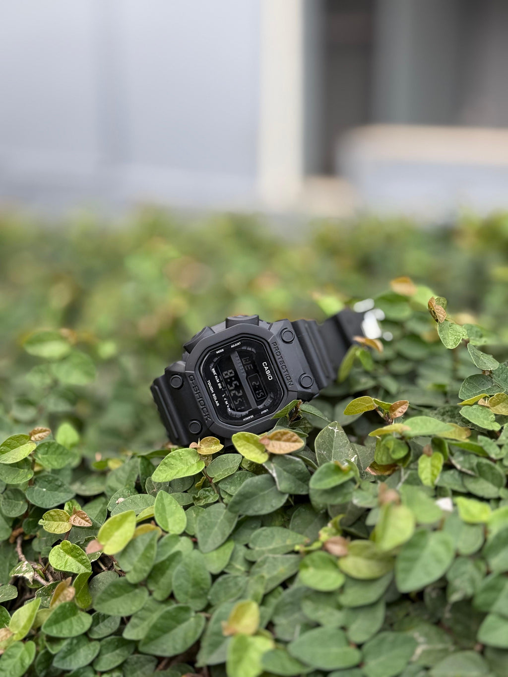 GSHOCK JEMBO EDICION