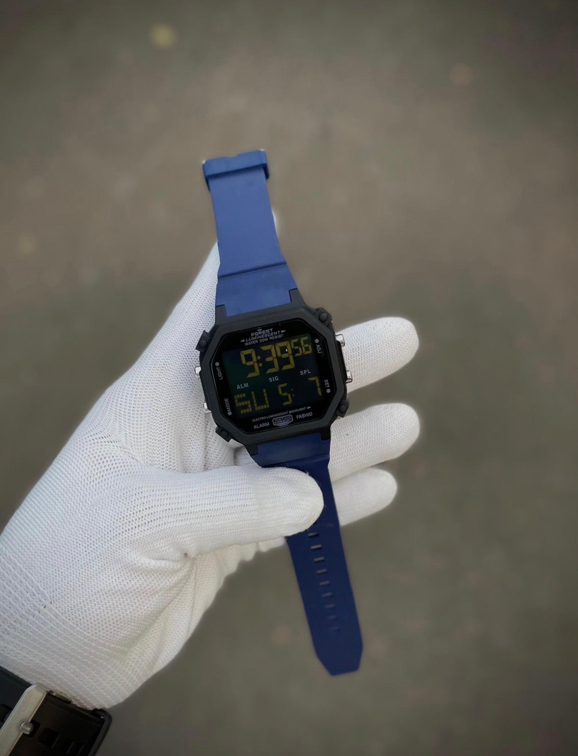 TRENDING FOREST WATCH