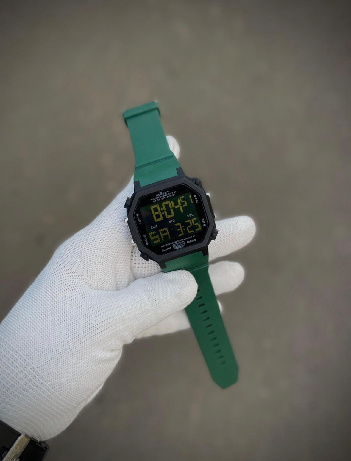 TRENDING FOREST WATCH