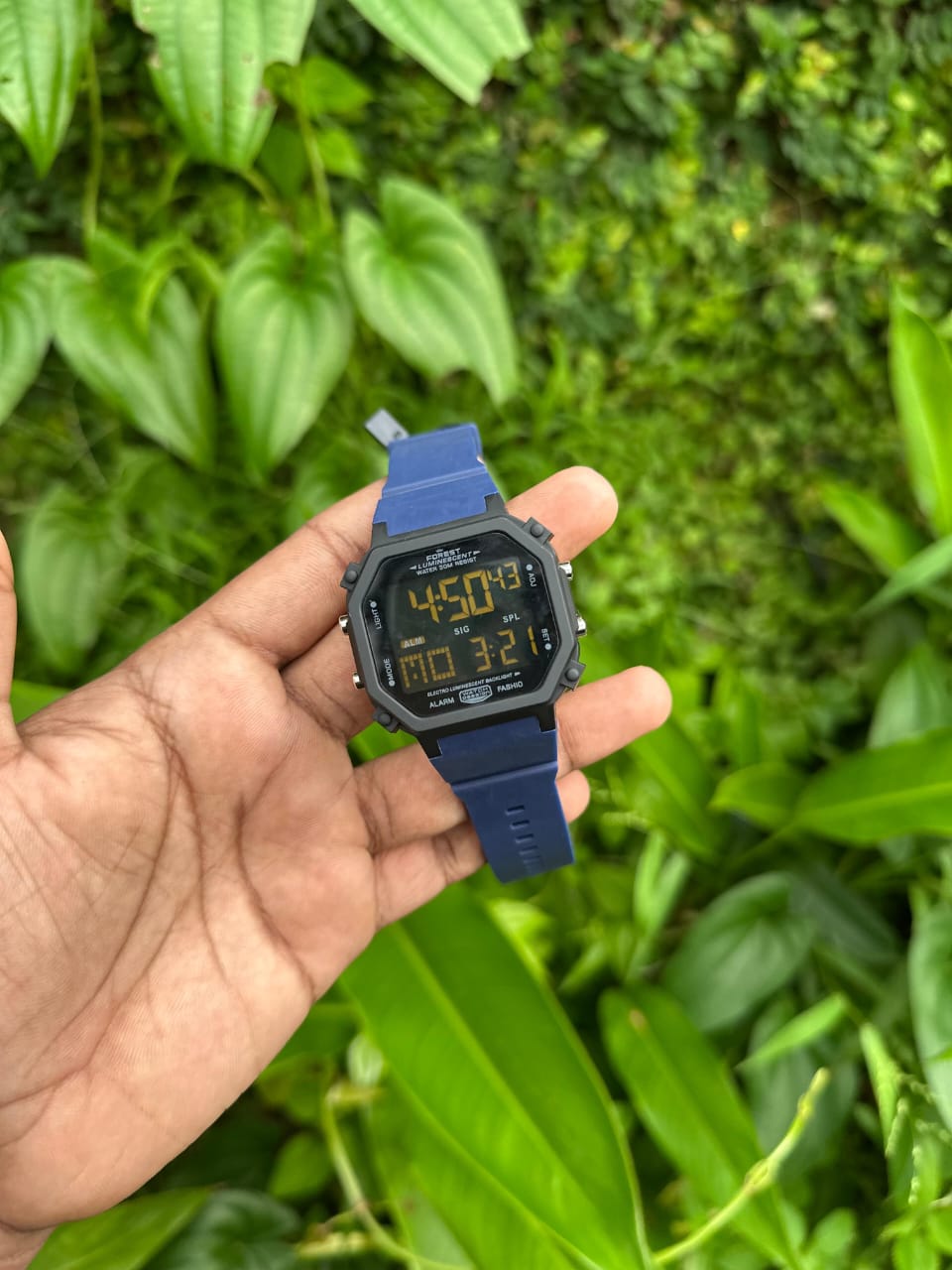 forest water proof watch